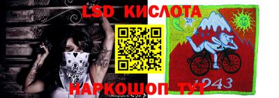 дмт Будённовск