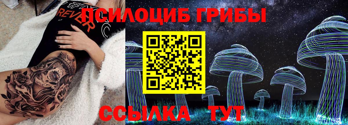 Галлюциногенные грибы GOLDEN TEACHER  Псилоцибиновые грибы Magic Shrooms  Фрязино  продажа наркотиков  Вход с VPN 